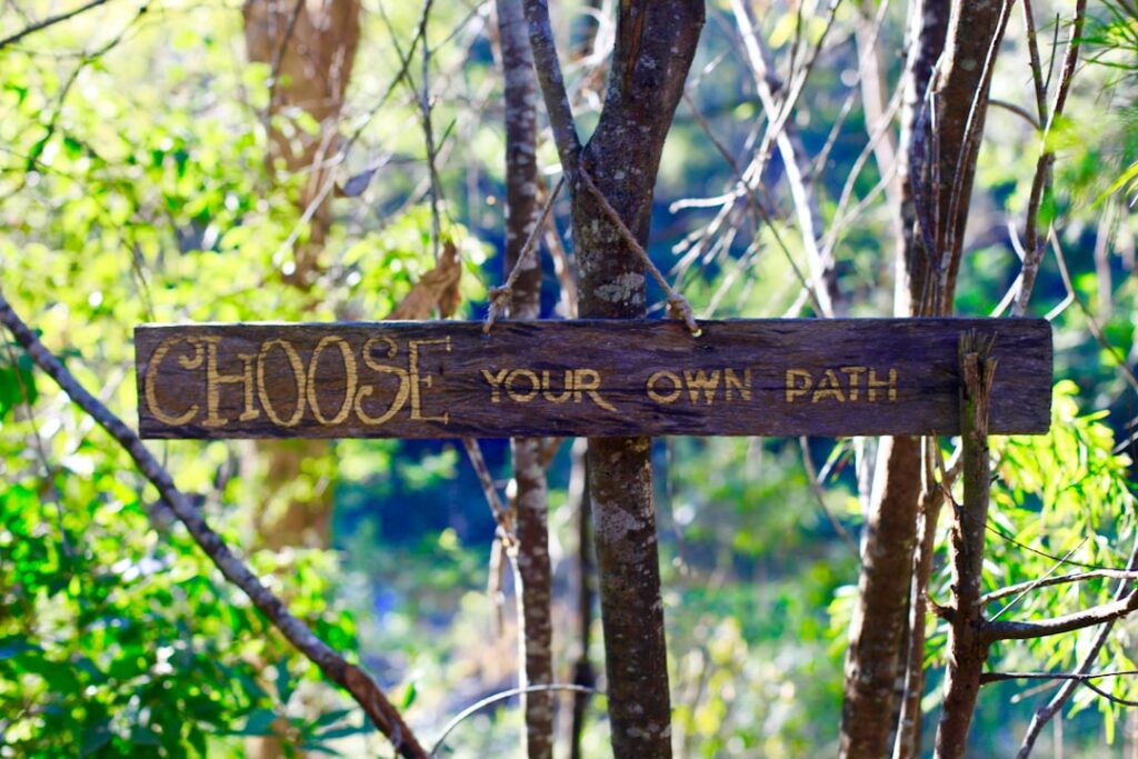Wooden sign reading 'Choose Your Own Path' symbolizing decision-making process for selecting AI apps